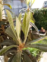 20210523_163454.webp