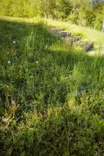 IMG_20210523_1730024-01.webp