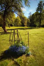IMG_20210523_1720178-01.webp