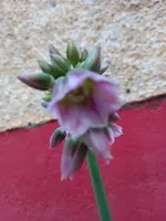 20210518_203049.webp