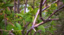 IMG_20210523_1958070-01.webp