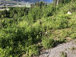 3085C1BF-81D7-49F4-B0E8-6F8A0027E17E.jpeg