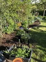 IMG_1930.webp