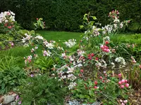 DSCF4649 (2).webp