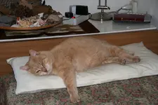April0721.JPG