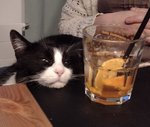 F23B4275-F0EE-4C98-B003-E424C596A725.jpeg