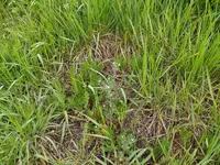 IMG_20210425_112517.jpg
