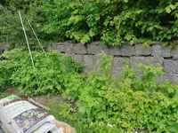 IMG_20210523_122439.webp