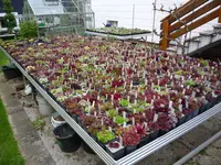P1070411.webp
