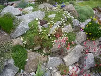 P1070341.webp