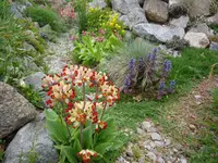 P1070337.webp