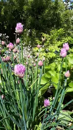 20210524_143654.webp