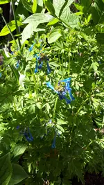 20210524_143737.webp