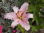 DSCN1573.JPG