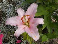 DSCN1573.webp