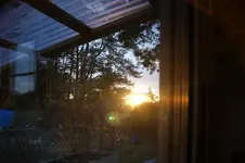 DSC09748.webp