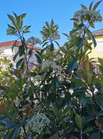 IMG_20210526_075126 (1).webp