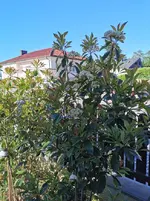 IMG_20210526_075120.webp