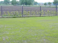 20210526_092042.webp