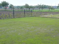 20210526_092049.webp