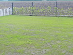 20210526_092054.jpg