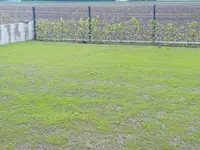 20210526_092054.webp