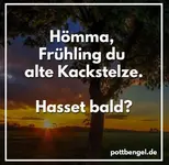 5B71E2E8-BB85-4428-A8C1-218687972FD0.webp 5B71E2E8-BB85-4428-A8C1-218687972FD0.webp