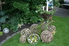 IMG_9577a.webp