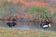 IMG_2127 v (2).webp