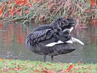 IMG_2129 v (2).webp