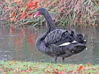 IMG_2128 v (2).webp