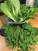 Salat4.webp