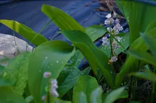 DSC09818.webp