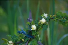 DSC09820.webp
