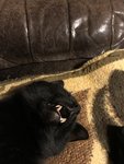 8A87572F-C71F-4AD0-8FA6-38EA0B0C873D.jpeg
