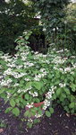 20210526_185117.jpg