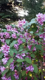 20210526_201821.webp