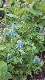 20210526_195814.webp