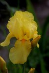 IMG_4221.JPG