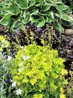 IMG_20210527_122710.webp