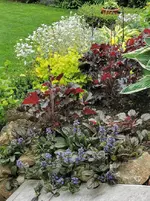 IMG_20210527_120140.webp