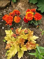 IMG_20210527_122749.webp