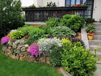 IMG_20210527_123230.webp