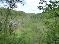 P1030711Grube 7.webp