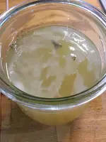 Essigmutterliebstöckel1.JPG
