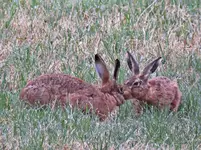 IMG_3674 v (2).webp