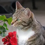 IMG_0768 v (2).webp