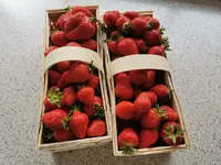 IMG_20210528_101137.webp