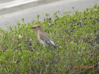 P1020090.webp