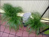 c019.webp